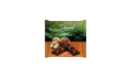 DIOREL Hazelnut Compound Chocolate Tablet 40 G